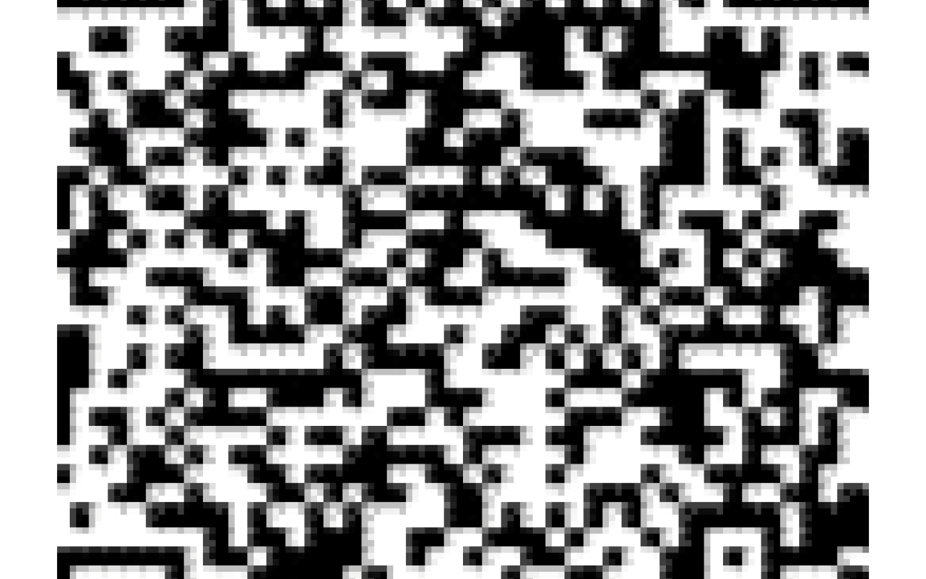 QR code questionnaire